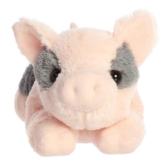 Tidbit Mini Pig expressive eyes close-up for comforting companionship
