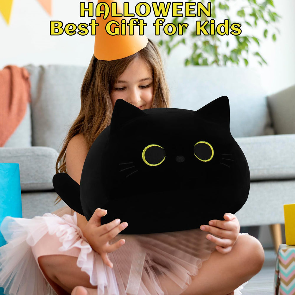 Auspicious Beginning black cat plush vacuum-packed and fluff restoration