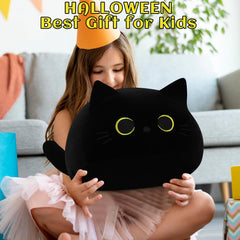Auspicious Beginning black cat plush vacuum-packed and fluff restoration
