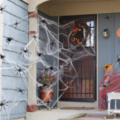 BAINFE classroom prop with realistic spiders for ambiance