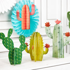 Balun Admhail cactus table decoration adds color to any setting