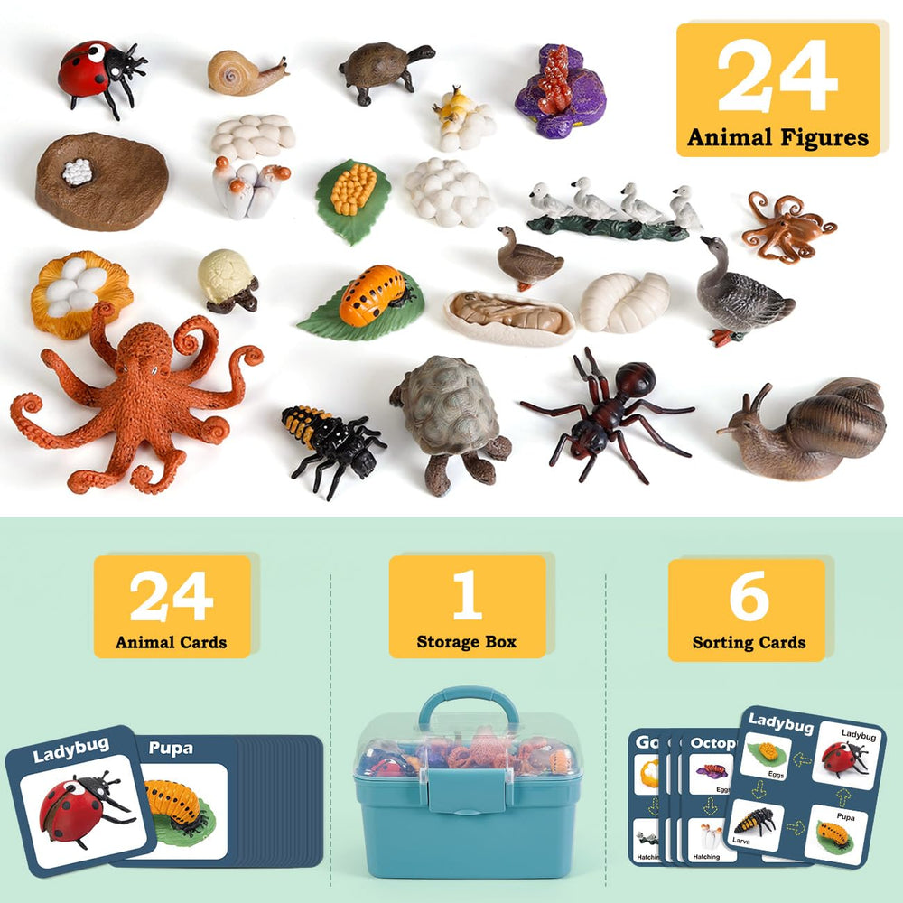 Bambilo life cycle Ants figures for interactive science exploration.
