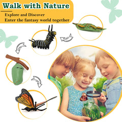 Bambilo life cycle mantis figure sparks curiosity about insect development.