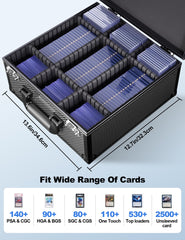 banloga tsa-lock secure access keeps cards safe during travel