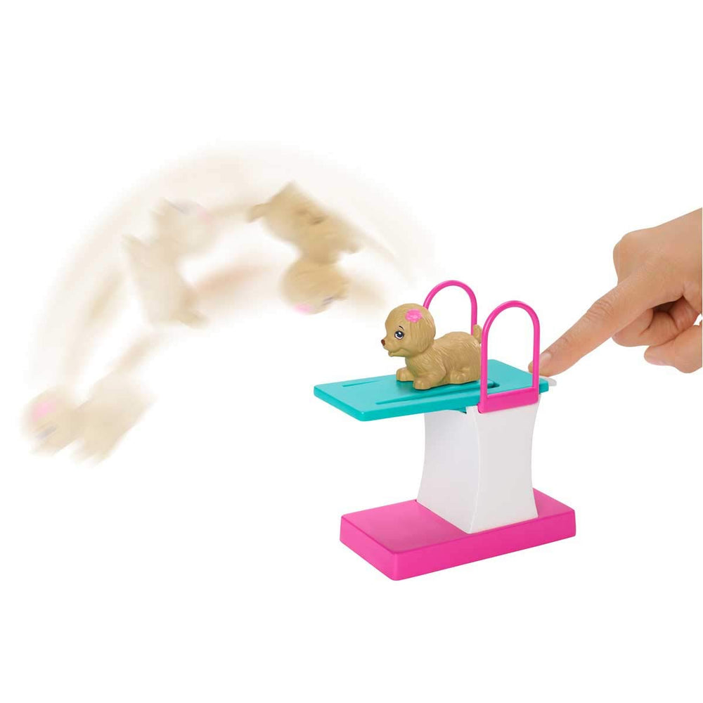 Barbie Dreamhouse Adventures Swim 'n Dive set includes water polo ball and goggles.