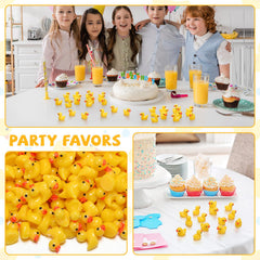 Barydat mini ducks garden decor close-up for charming micro landscapes.