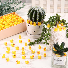 Barydat prank ducks pack close-up, great for playful party pranks.