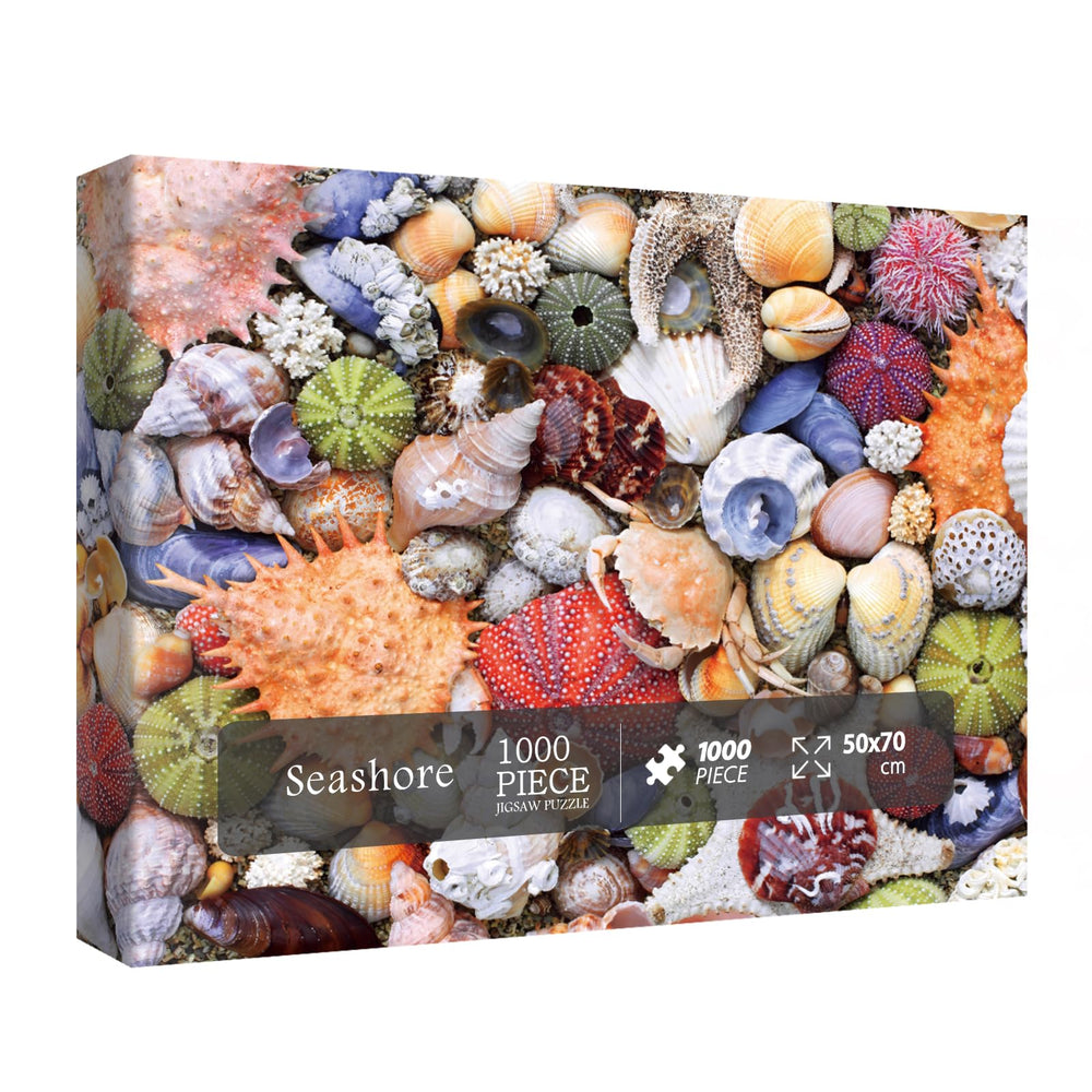 BBOLDIN Colorful Seashell 1000-piece Puzzle—vibrant oceanscape for mindful, relaxing evenings.