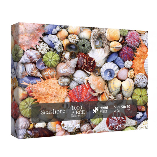 BBOLDIN Colorful Seashell 1000-piece Puzzleβvibrant oceanscape for mindful, relaxing evenings.