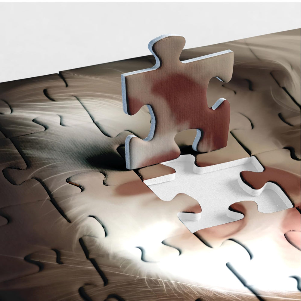 BBOLDIN Kitten Moments puzzle highlights a playful kitten with sparkling eyes for mindful focus.