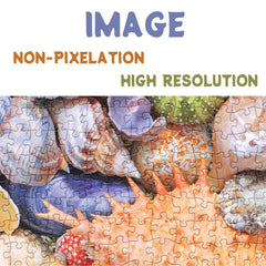 BBOLDIN Seashells Detailed Pattern 1000-piece Puzzle—enhanced ink and sustainable cardboard.
