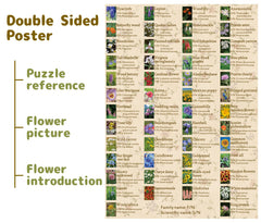 BBOLDIN Double-sided poster shows flowers and details for reference