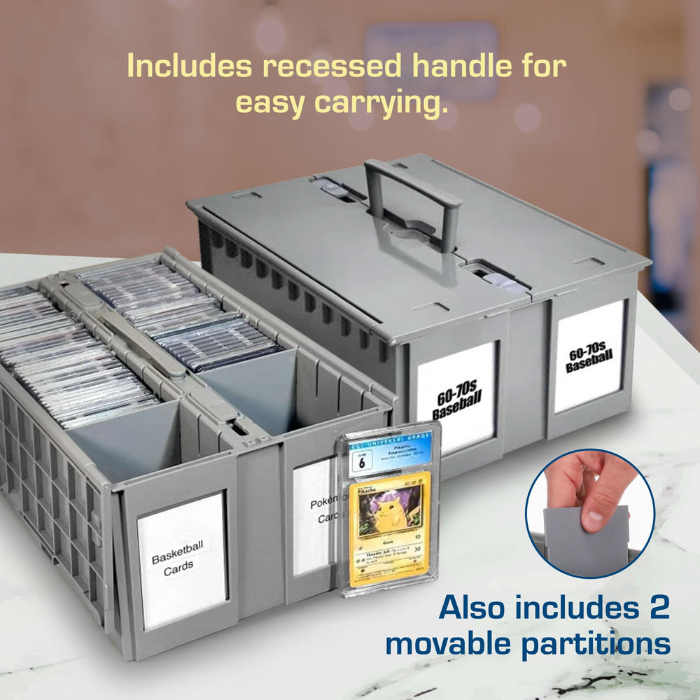 BCW external-slots labeling helps quick category identification during shows.