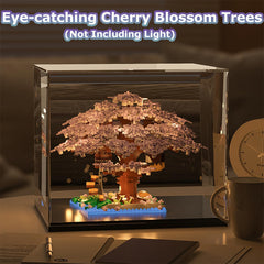 Beego Gift-ready bonsai set for celebrations and surprises.
