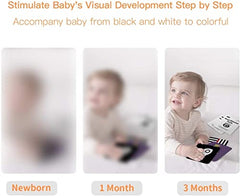beiens high-contrast baby flashcards back view reveals full set of shapes and colors.