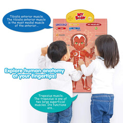 Best Learning i-Poster muscles and bones for movement and structure.