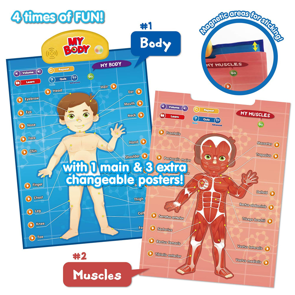 Best Learning i-Poster sensory organs with touch-based exploration.