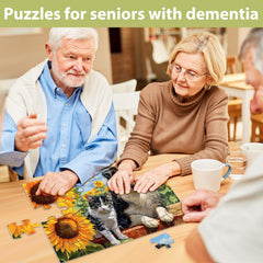1:1 instructional guide included with Biarek puzzles
