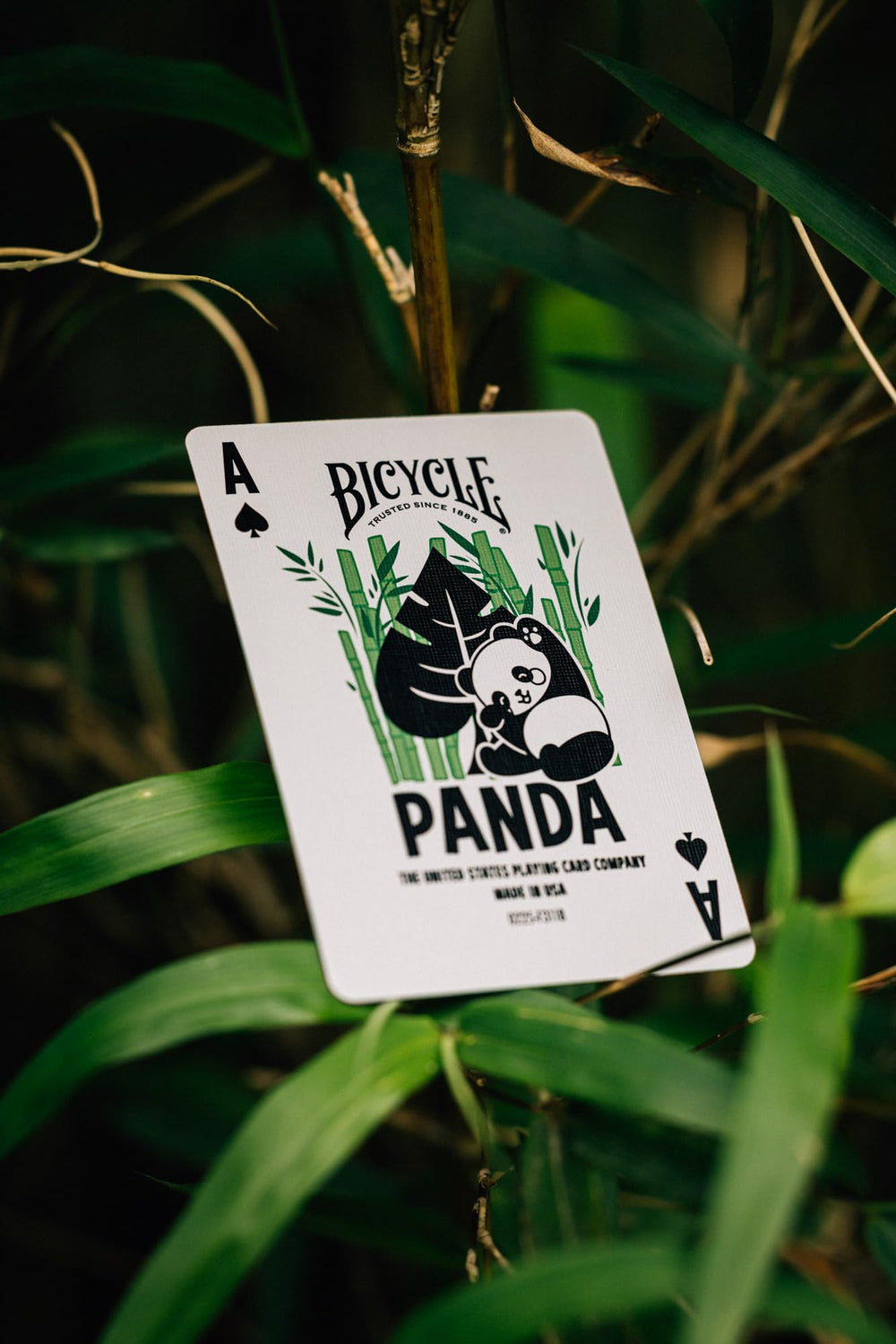 Bicycle Panda Playing Cards trusted since 1885, a heritage brand for reliable play.