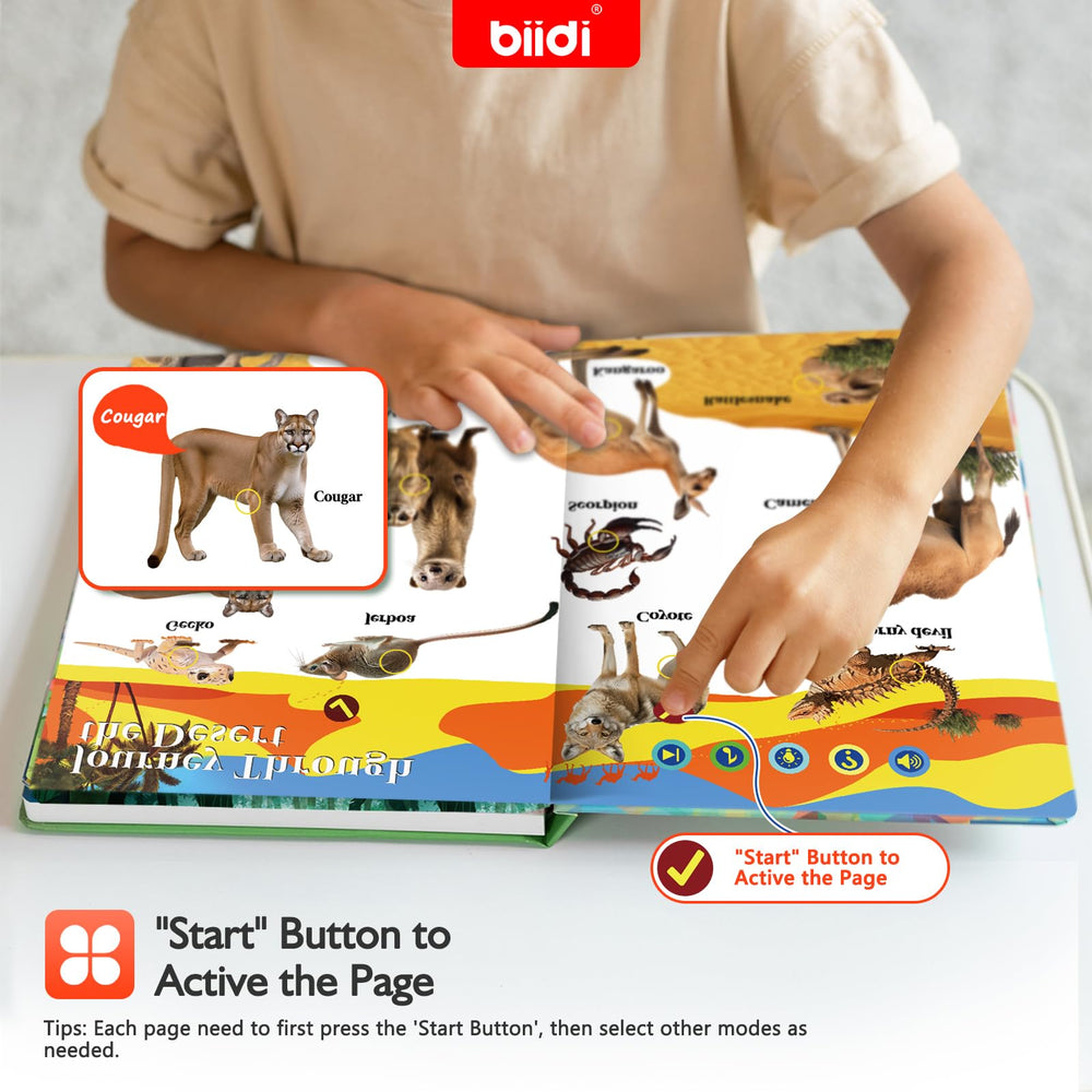 Biidi English 171-creatures display boosts vocabulary through interactive exploration
