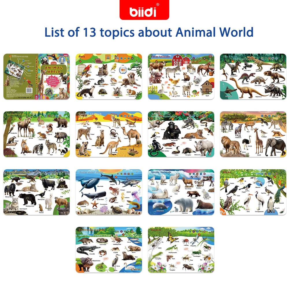 Biidi English Screen-free learning toy supports focus during car trips