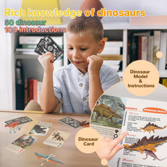 BIWASE dinosaur cards showcase vivid images for quick recognition and learning.