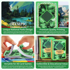 BIZYAC National Parks cards feature illustrated landscapes and wildlife for immersive play