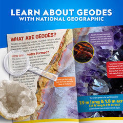 Blue Marble three display stands showcase discovered geodes and minerals.
