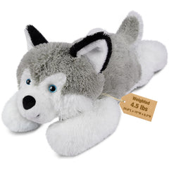 Bobbie & Laxi husky weighted stuffed animal front view, a comforting study buddy.