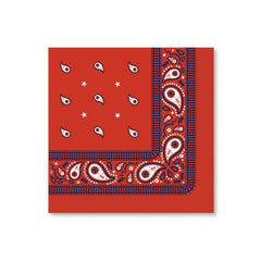 Bonjour Fete Thomas & Friends napkins bandana red folded 6.5 inches for easy cleanup
