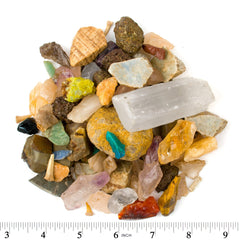 Kids digging Boone's Mill paydirt discover amethyst and fossils.