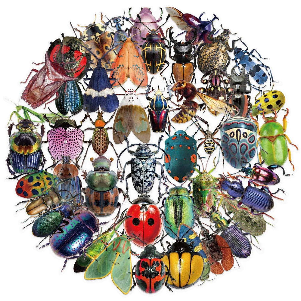 Booppyy 50 insect stickers pack for laptops and bottles, waterproof and fade-resistant.