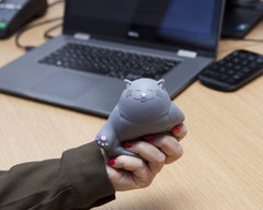 Kalma Kitty fidget toy for adults to ease tension at work or study.