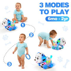 Close-up of buttons on BQU musical puppy toy in blue for learning ABCs