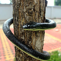 Brandon-super Snake in coiled pose ideal for outdoor decor and visitor intrigue.