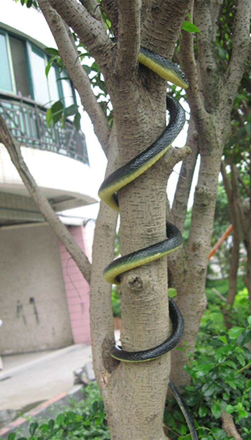 Brandon-super Yellow-belly replica enhances yard ambiance and conversation.