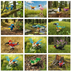 BRICHBROW classroom prizes promote hands-on learning with three animals per model.