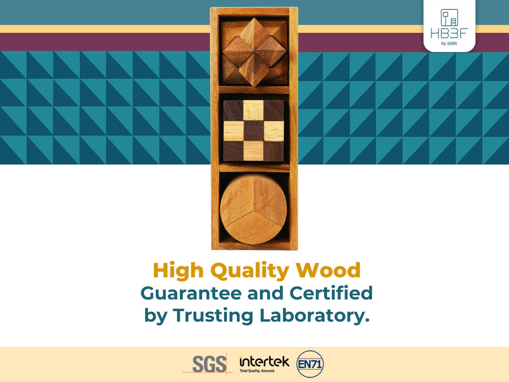 BSIRI interlocking wooden puzzles 3D design challenging spatial reasoning