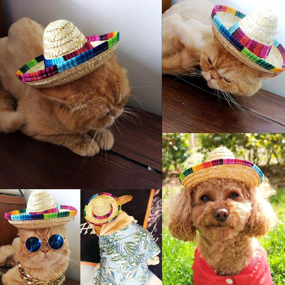 BTYMS natural straw sombrero hat close-up highlighting durable craft.