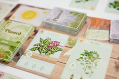 Buffalo Games Planted game-play briefing illustrating quick rounds and accessible rules.