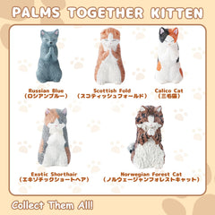 BUKURONEKO ATBC-PVC material: high-quality, non-toxic collectible.