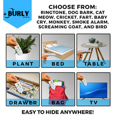Burly Effects prank device select button lets you choose among ten sounds
