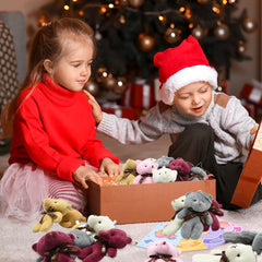 CAMIRUS bear and card set, versatile for birthdays and events