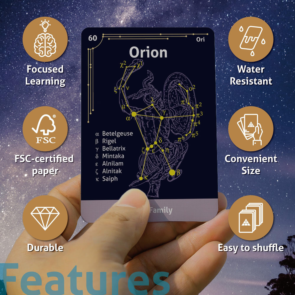 CARDDIA durable water-resistant paper for long-lasting flashcards