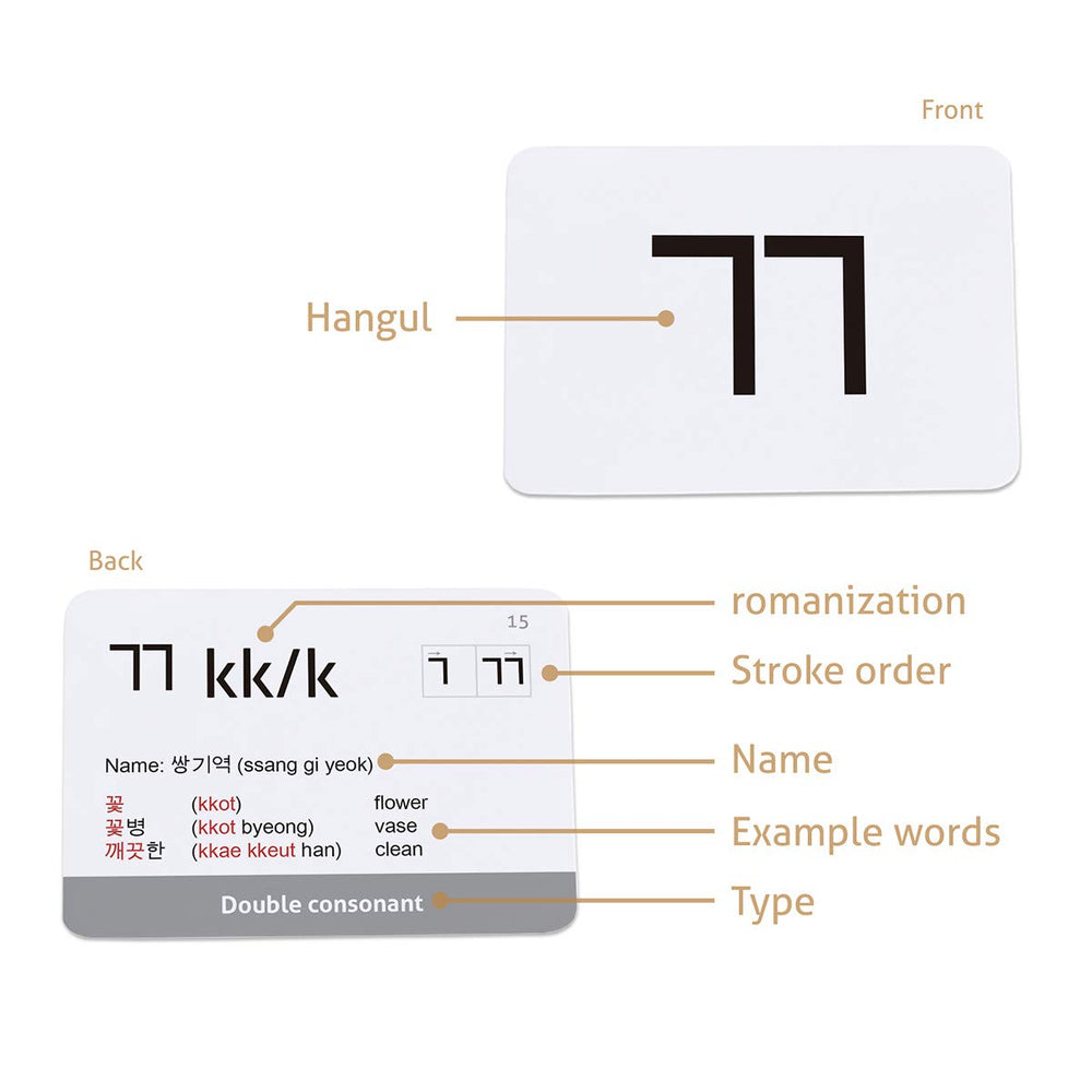 CARDDIA durable flashcards printed on water- and tear-resistant paper.