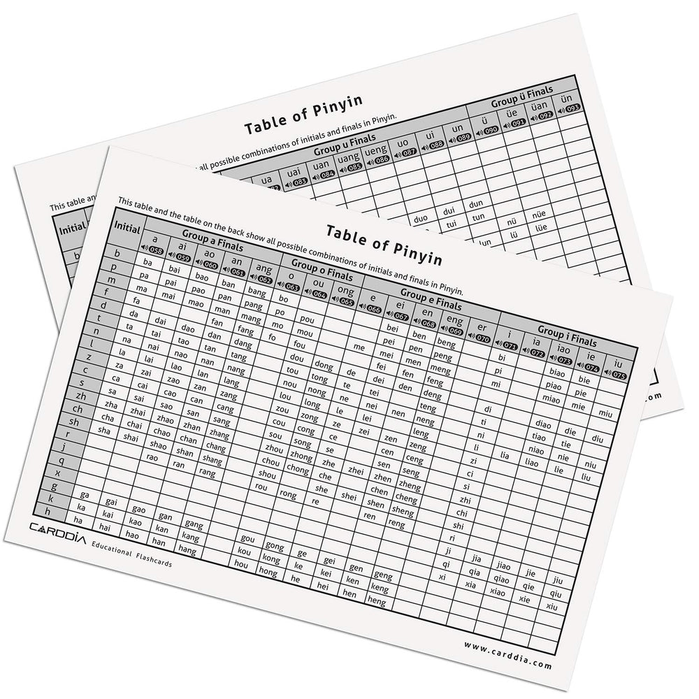 CARDDIA Pinyin element card front shows initial, final, and example usage.