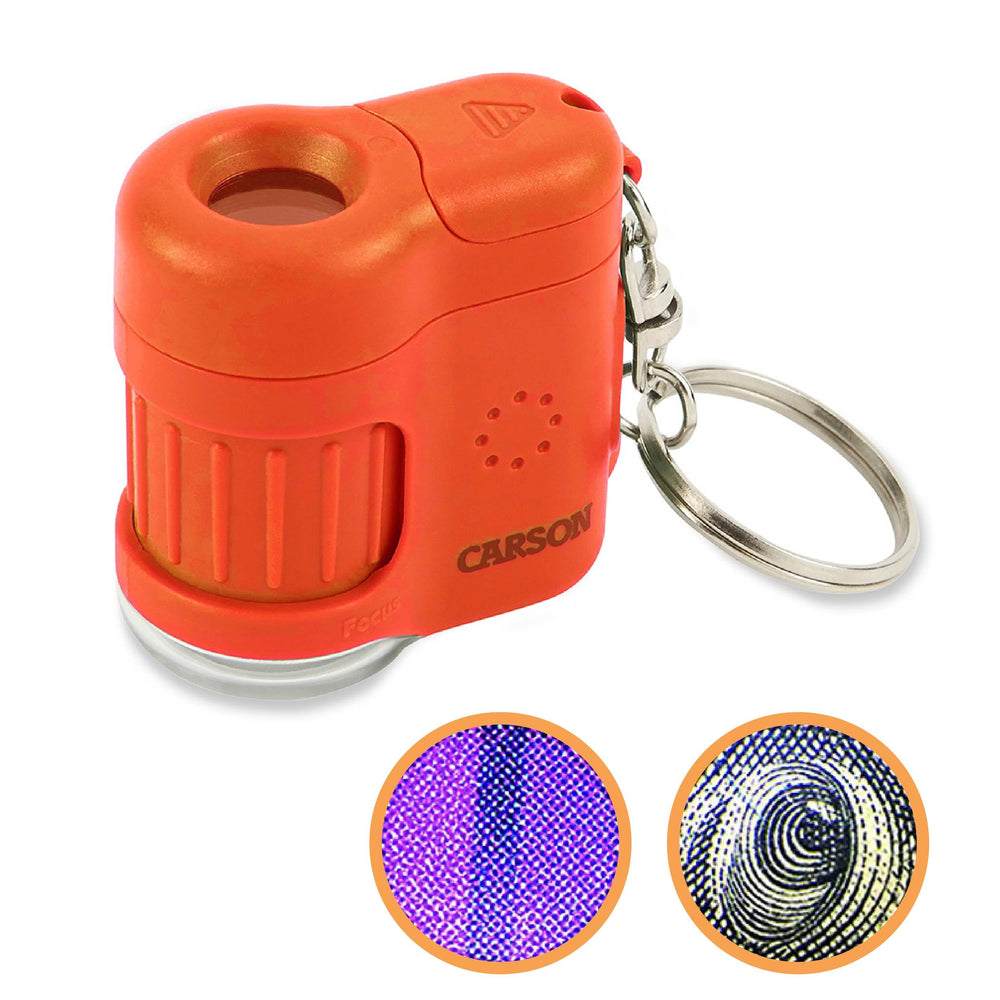 Carson MicroMini 20x view for quick specimen inspection.