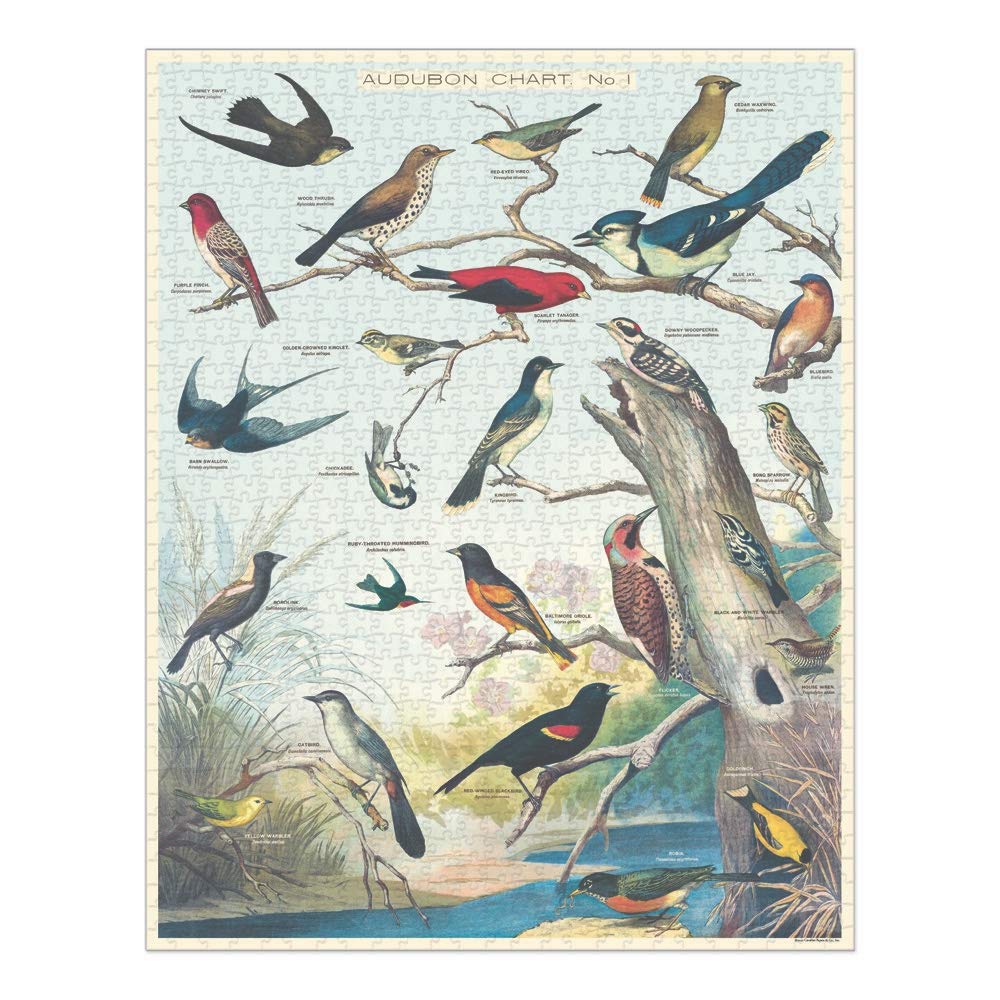 Cavallini & Co 1000-piece puzzle, precise pieces for a satisfying build.