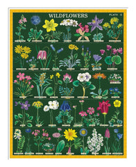 Cavallini & Co Vintage Wildflowers 2 puzzle assembled 1000 pieces ready for use.