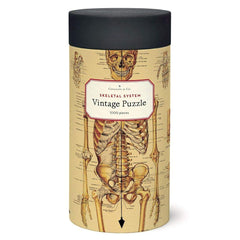 CAVANILLI & CO. Skeletal System puzzle in a 10-inch tube, convenient for gifting and storage.
